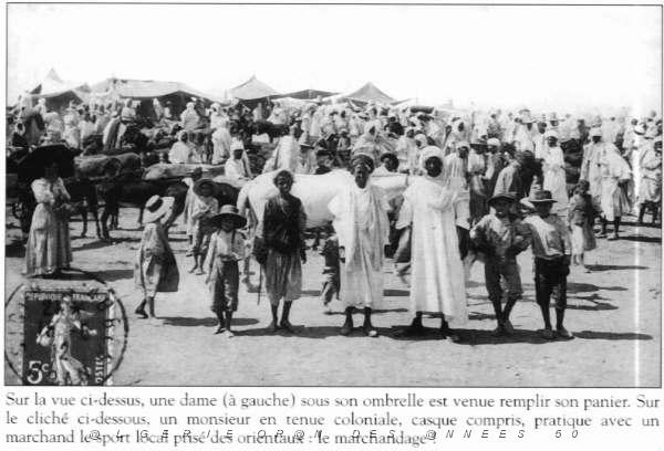 SBA LE MARCHE 01.JPG